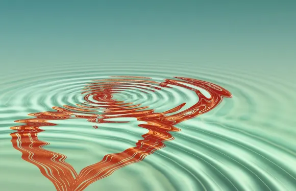 カシゴ カジノ サポート